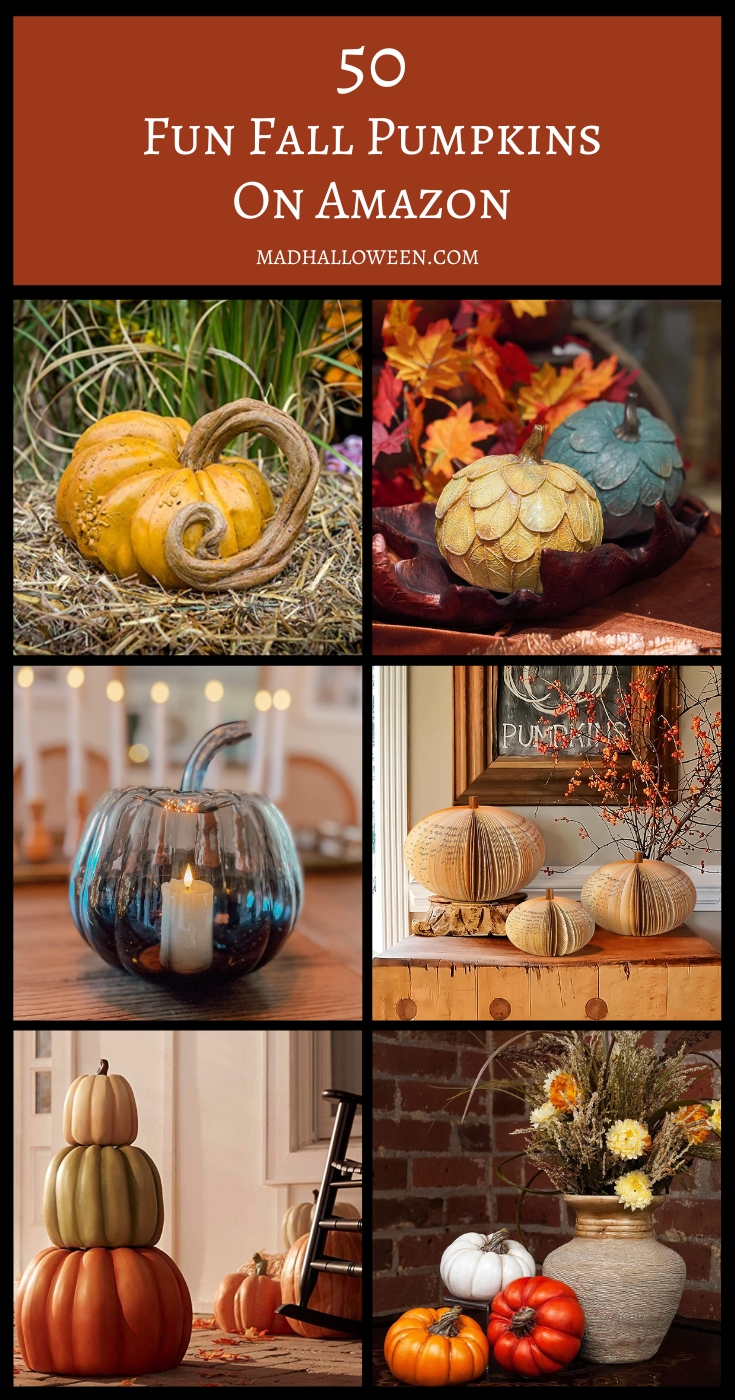 50 Fun Fall Pumpkins On Amazon - Mad Halloween madhalloween.com
