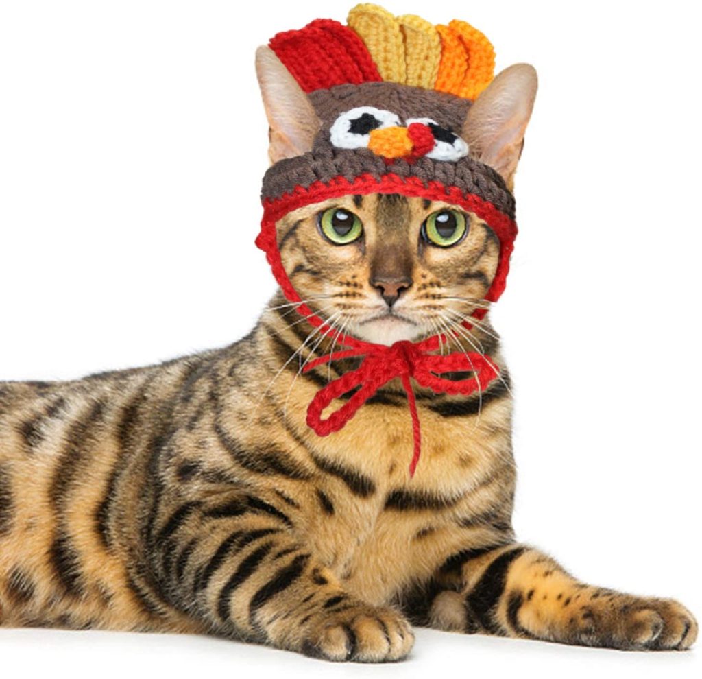 RYPET Thanksgiving Costume Cat Turkey Costume - Pet Turkey Hat Thanksgiving Apparel for Cats Small Dogs
