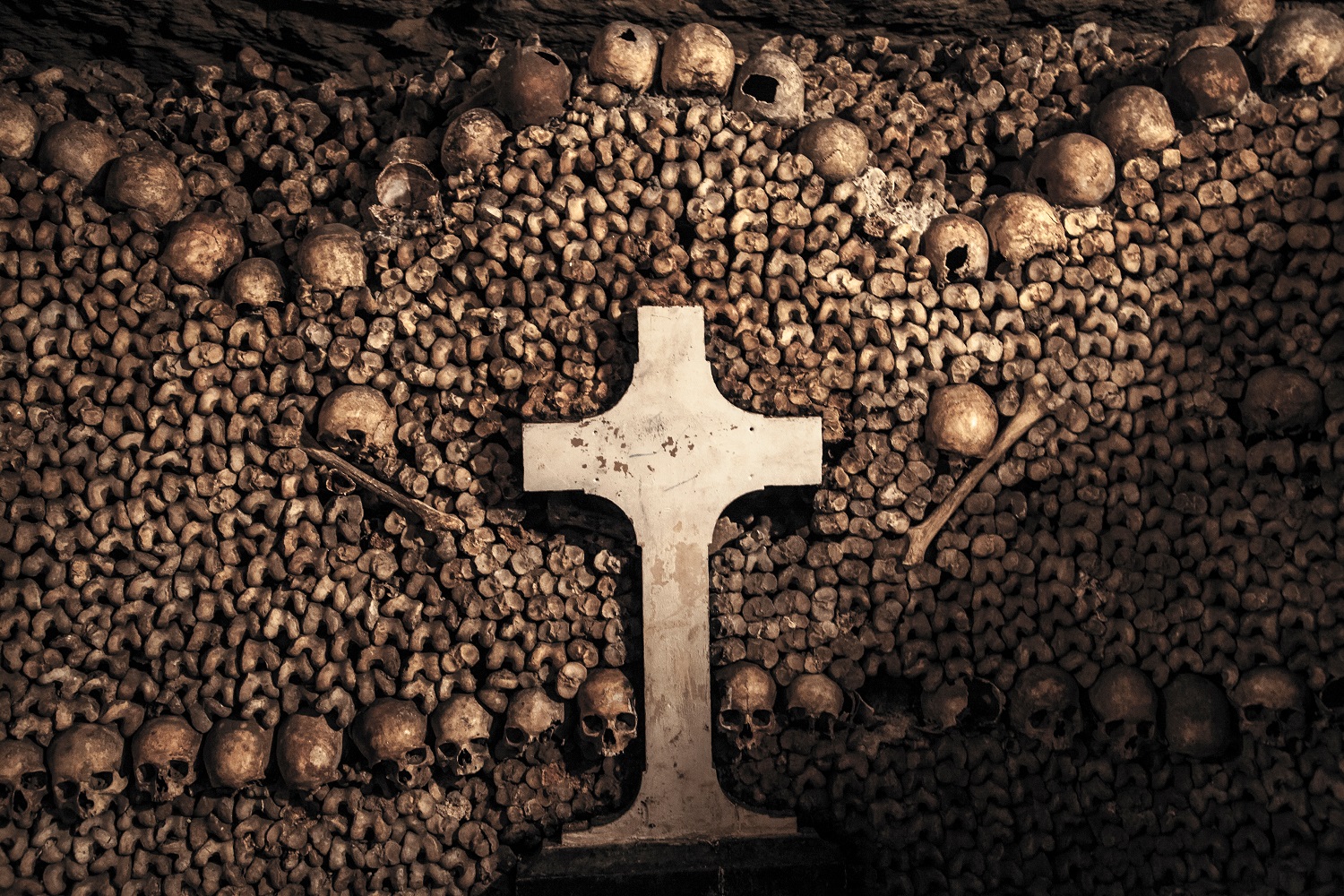 The Catacombs of Paris - Mad Halloween
