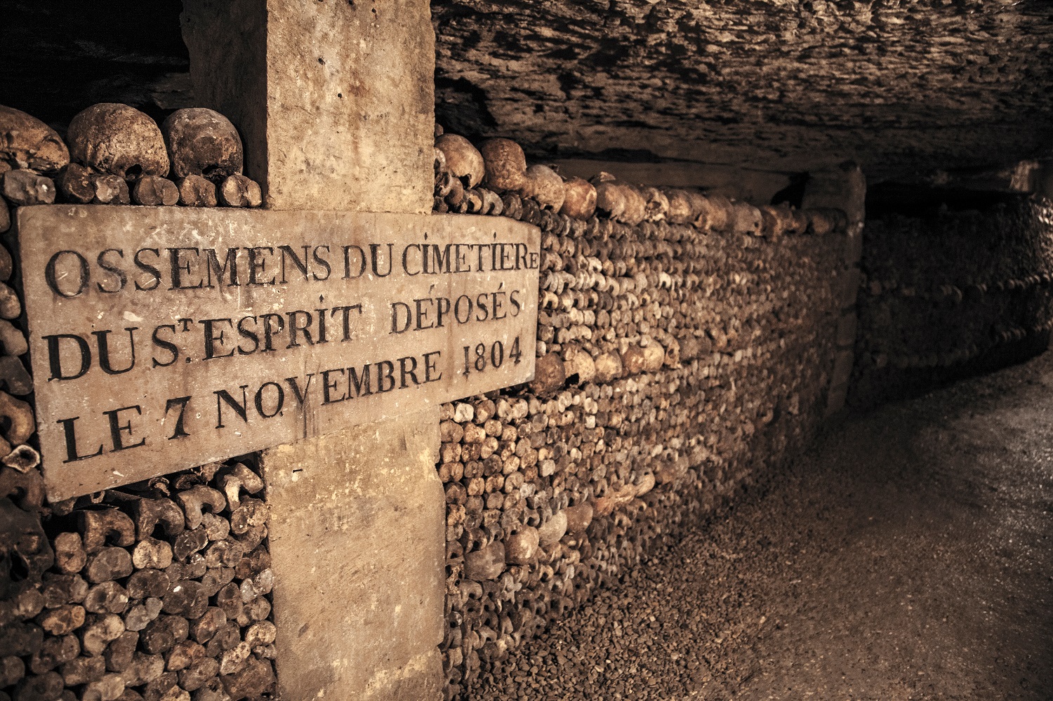 The Catacombs of Paris - Mad Halloween