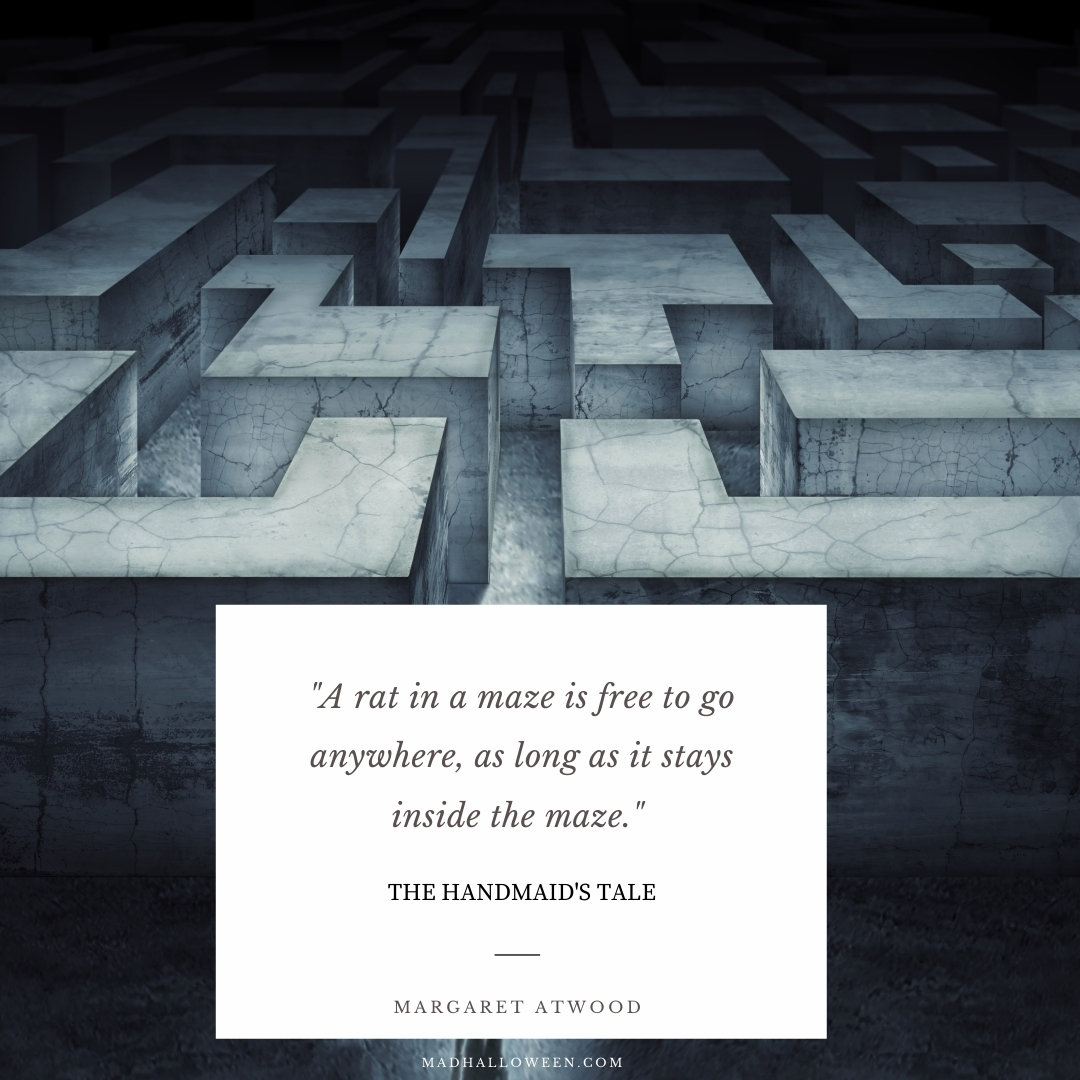 Dark Quotes For Halloween - "A rat in a maze is free to go anywhere, as long as it stays inside the maze." Margaret Atwood - Mad Halloween
