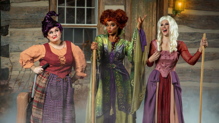 Sanderson Sisters Costumes For Halloween