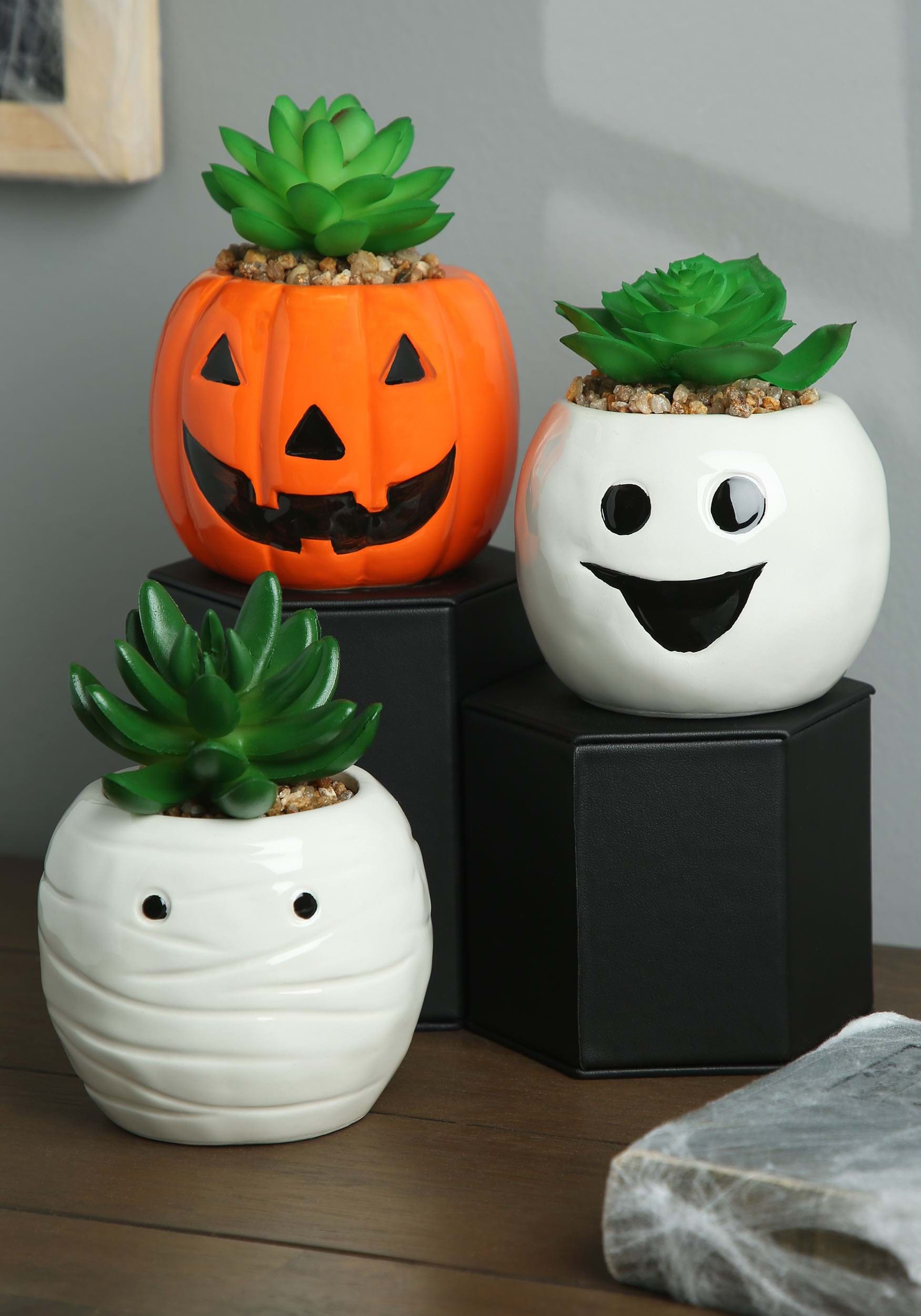 Halloween Pumpkin, Ghost, and Mummy Succulent Planter Set 