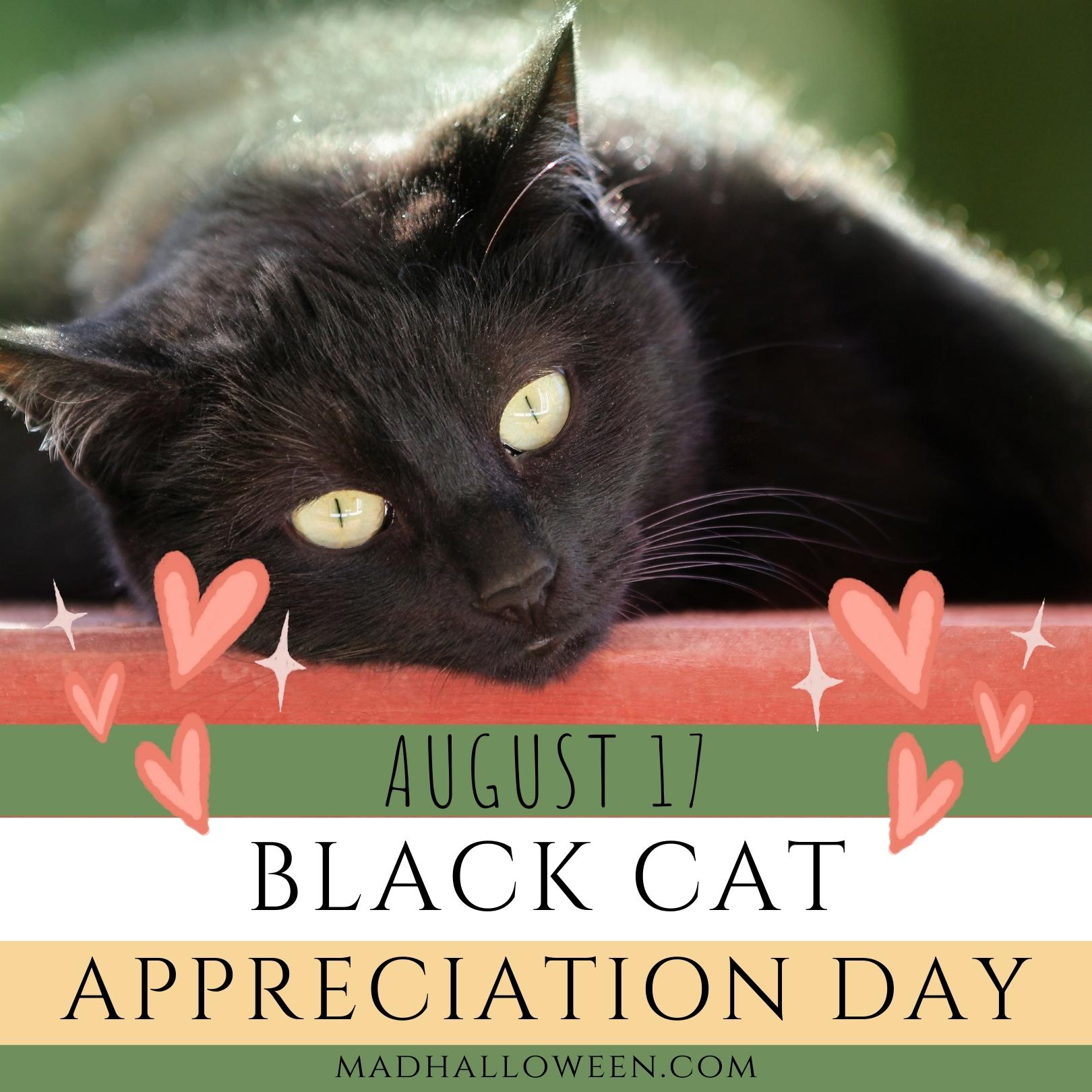 Black Cat Appreciation Day August 17 - Mad Halloween