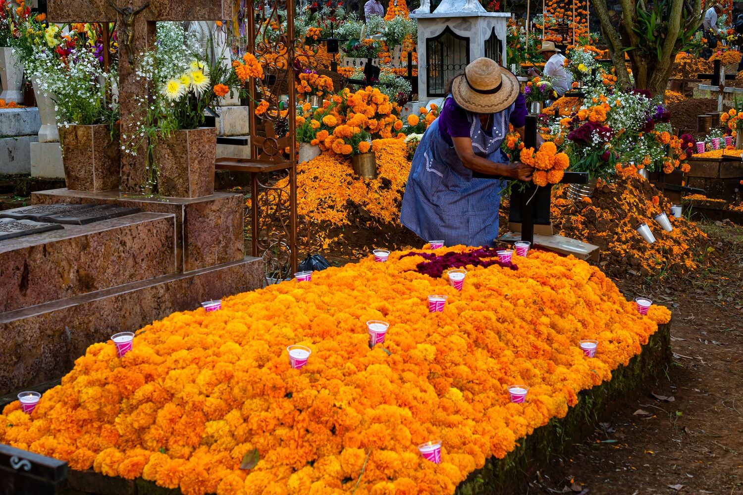 Lady decorating grave with marigolds (cempasúchil) flowers on the day of the dead in Michoacán, Mexico.