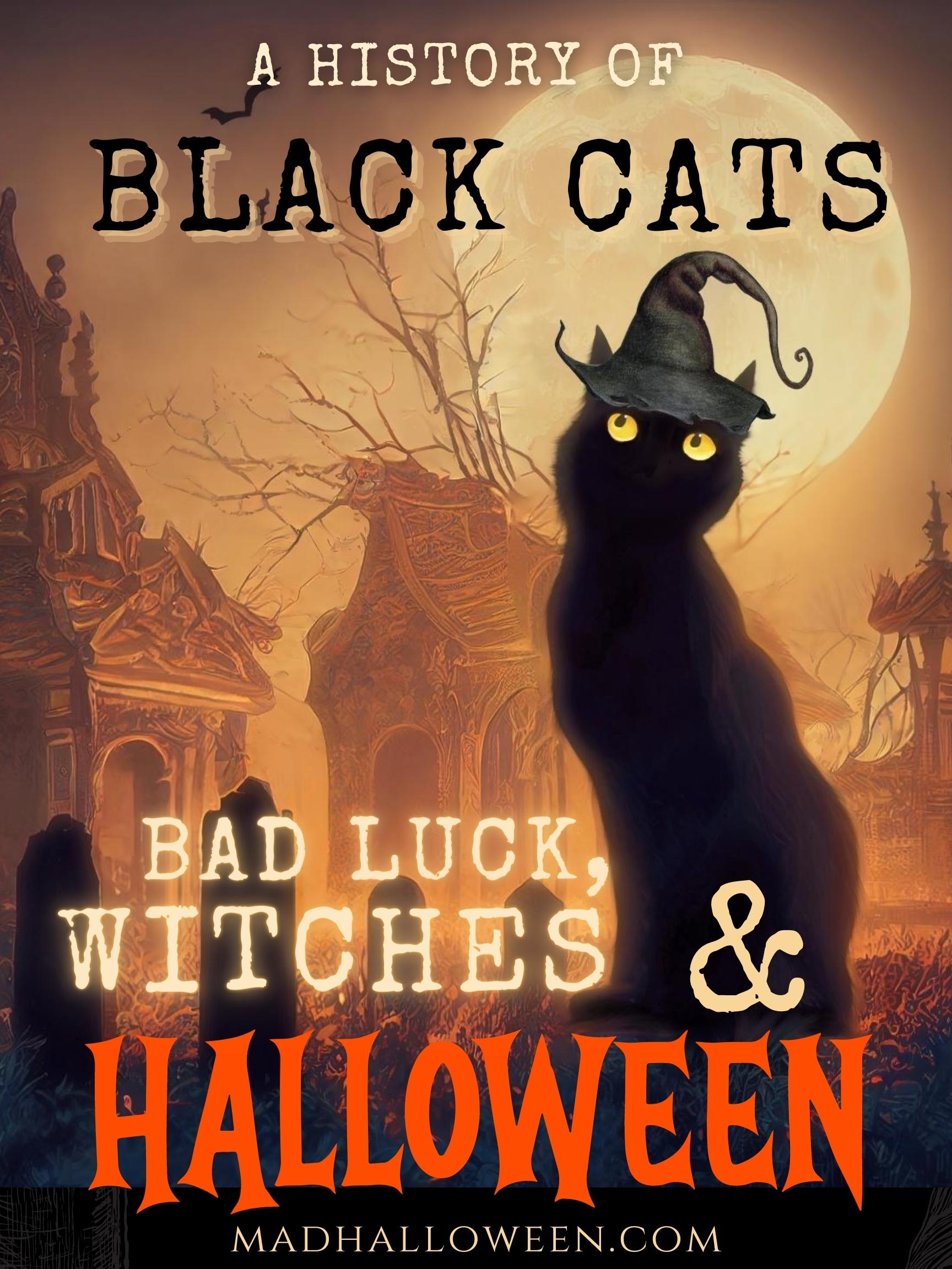 History of Black Cats, Bad Luck, Witches, and Halloween - Mad Halloween