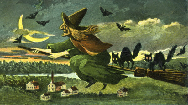 History Of Black Cats, Bad Luck, Witches, And Halloween - Mad Halloween