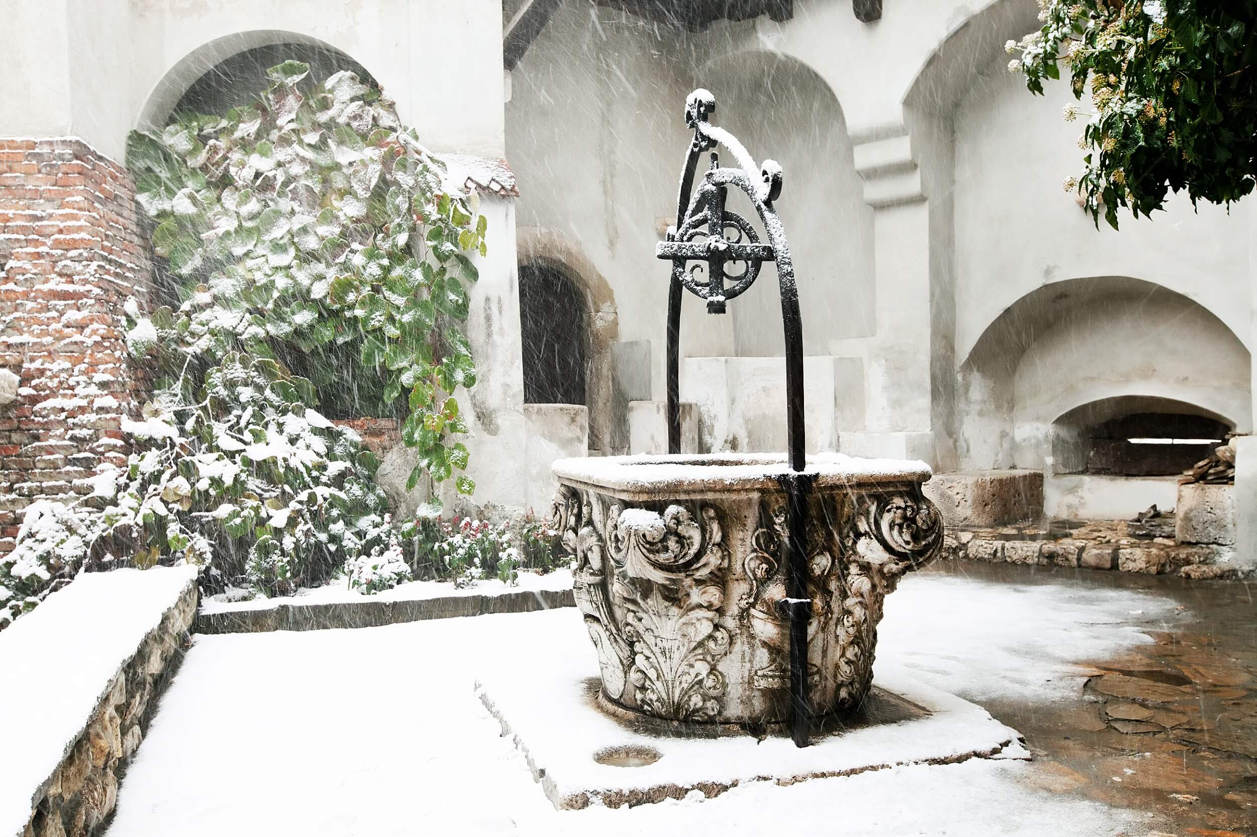 Bran Castle Well